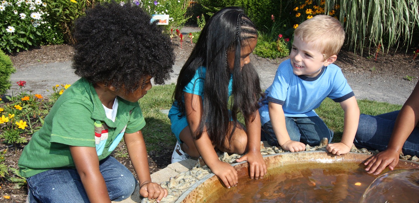 Home page hero image