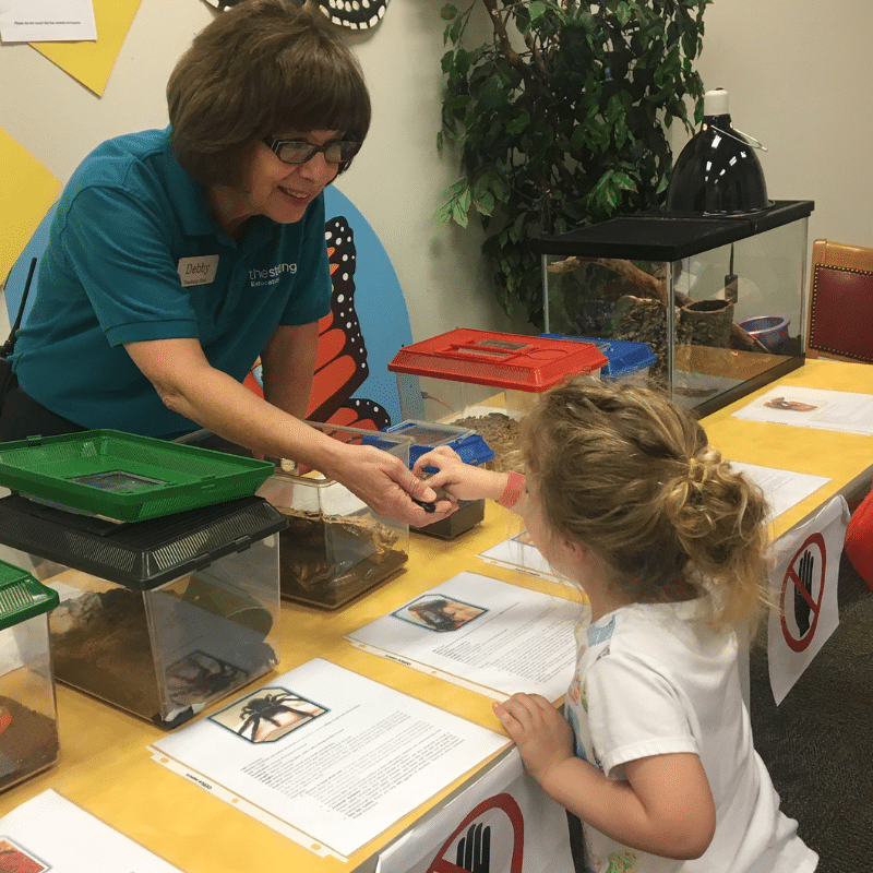 Child feeling a spider